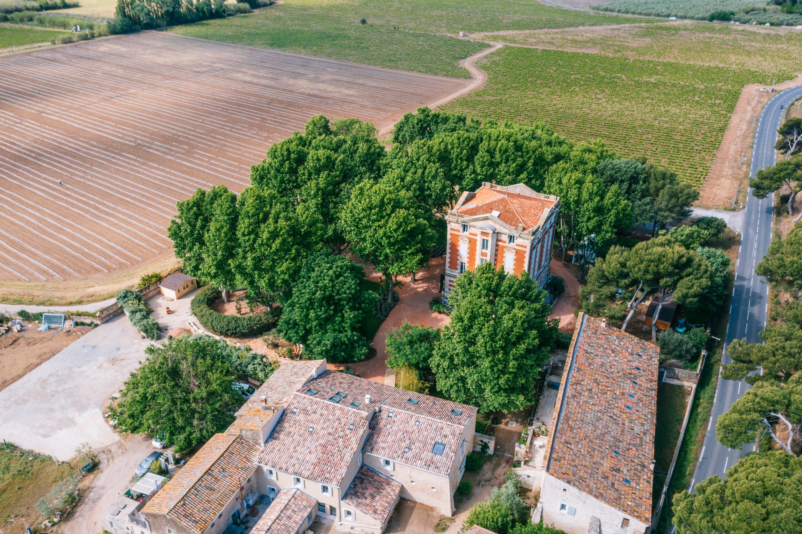 chateau_reception_provence_evenements_mariage_aix_marseille_evenementiel_campagne_vignes_platanes